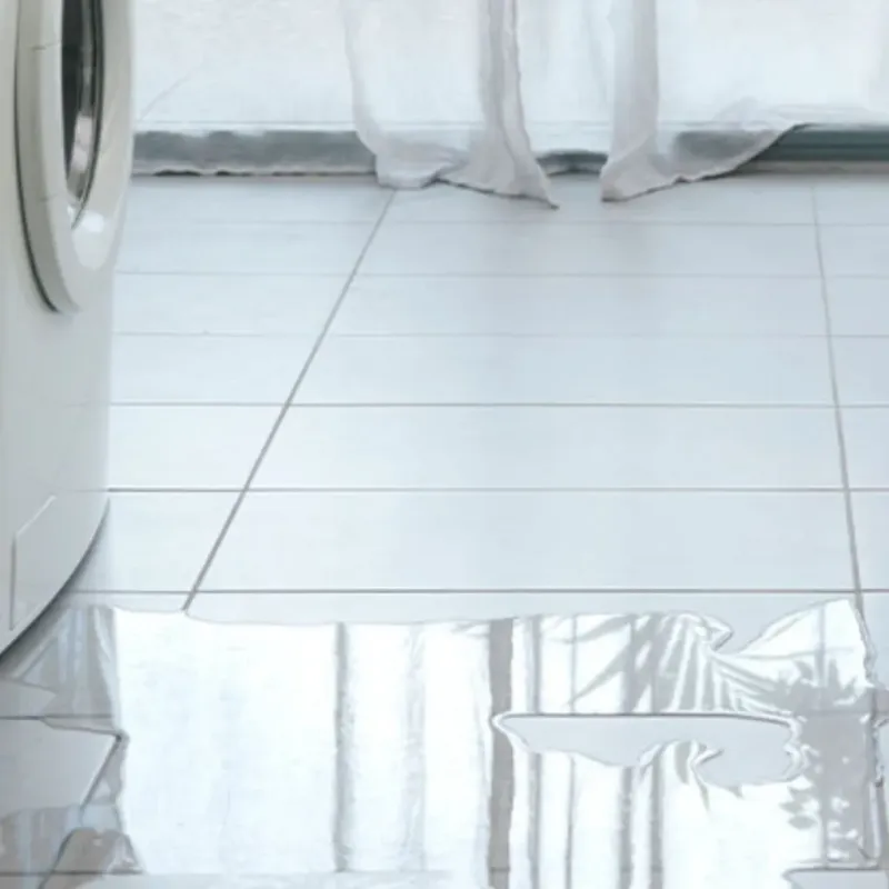 Appliance Leak Cleanup in Murfreesboro, NC