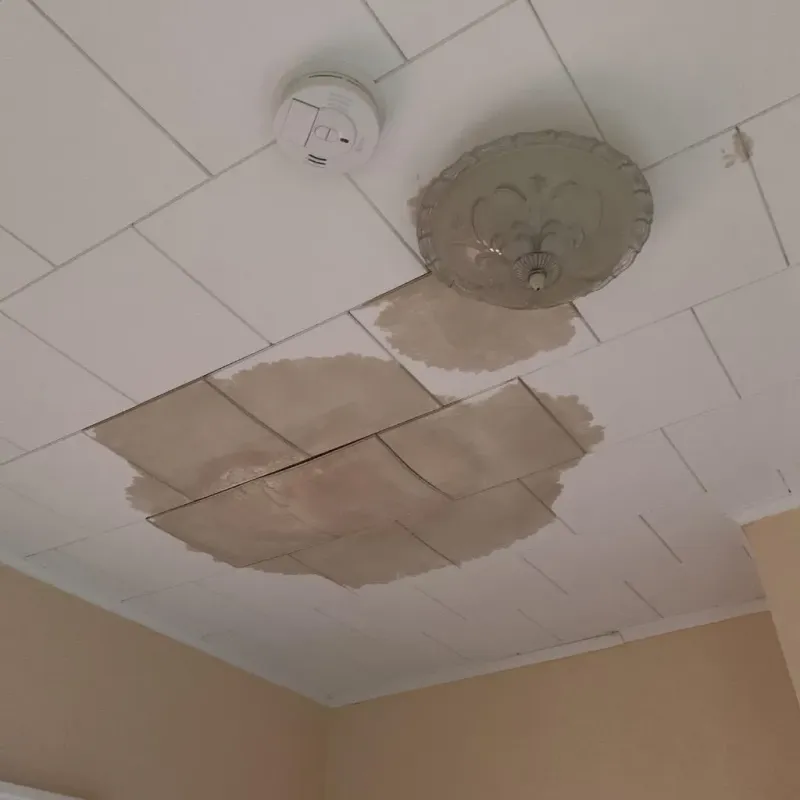 Ceiling Water Damage Repair in Murfreesboro, NC