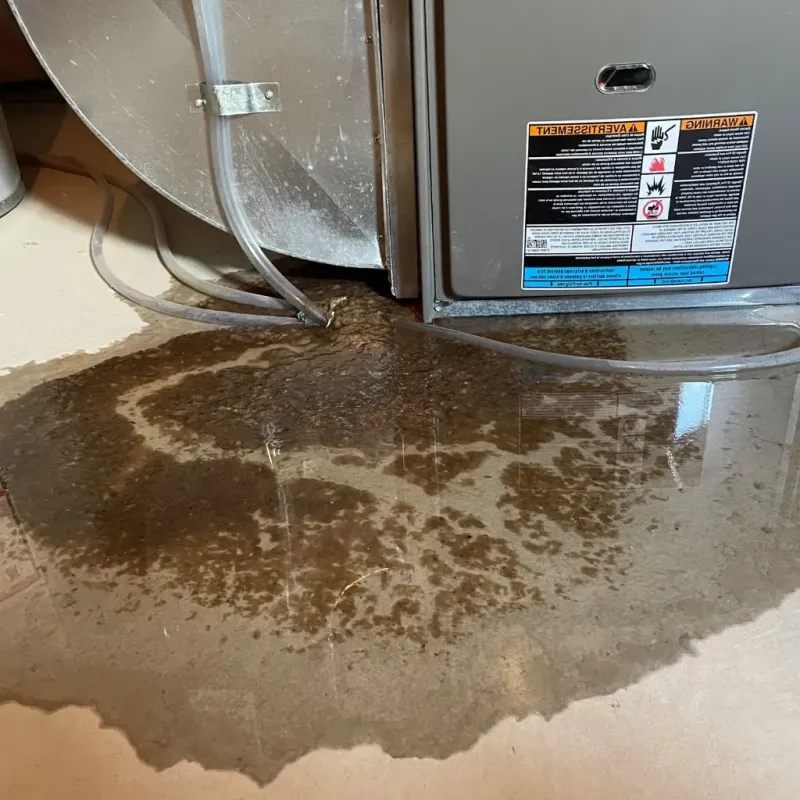 Pipe Burst and Leak Restoration in Murfreesboro, NC