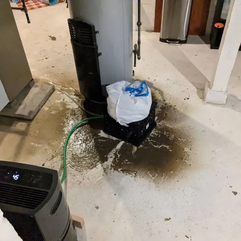 Sewage Backup Cleanup Service in Murfreesboro, NC